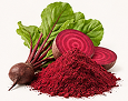 BEET ROOT EXTRACT