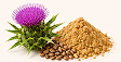 MILK THISTLE EXTRACT