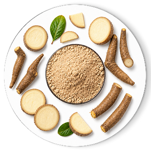 DANDELION ROOT