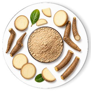 DANDELION ROOT