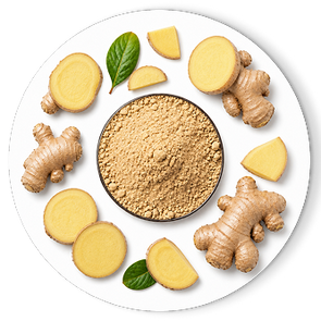 GINGER ROOT