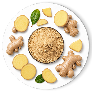 GINGER ROOT